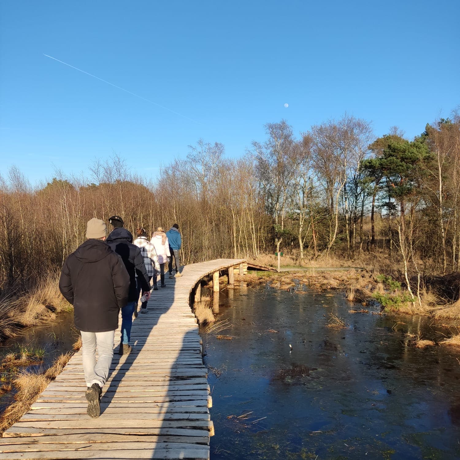 Wandelen over een vlonderpad in de natuur